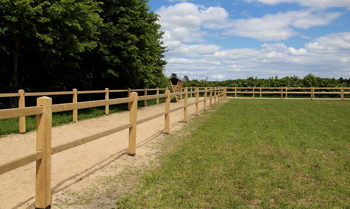 Gras Koppel - Koppelzaun paddock paradies für Pferde