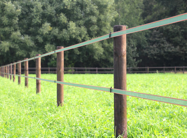 Elektrischer Zaun - Weidezaun für Pferde