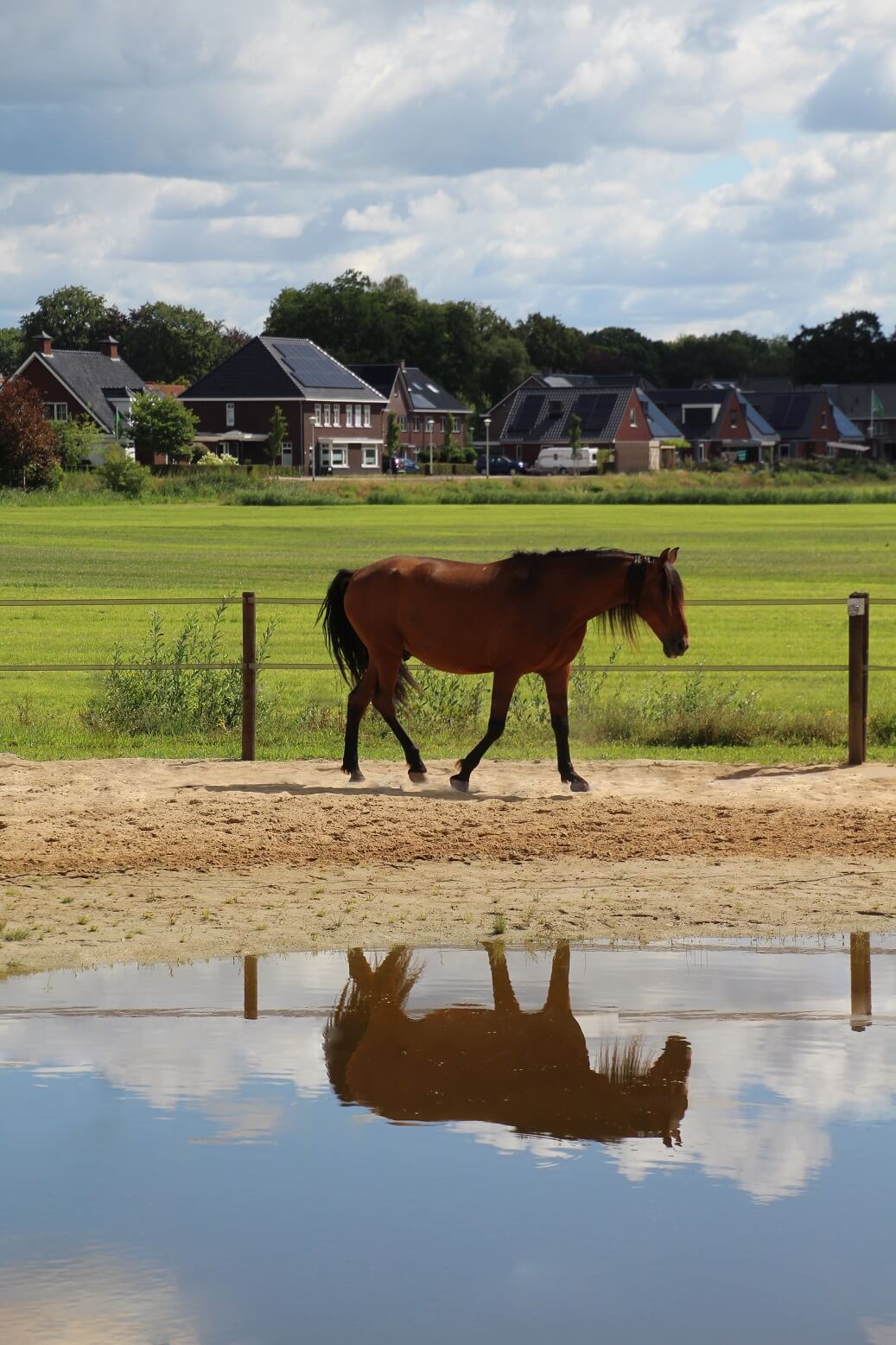 Water voorziening paddock paradise
